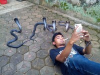Foto Kutukan Menakutkan