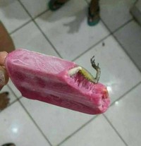 Foto Kutukan Menakutkan