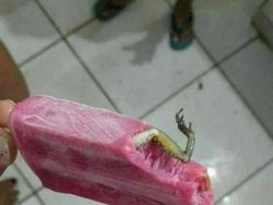 Kumpulan Foto Terkutuk Bikin Resah dan Menyeramkan, Berani Lihat?