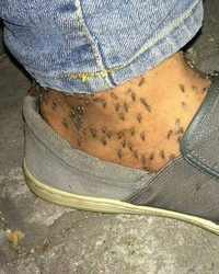 Foto Kutukan Menakutkan
