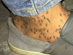 Kumpulan Foto Terkutuk Bikin Resah dan Menyeramkan, Berani Lihat?