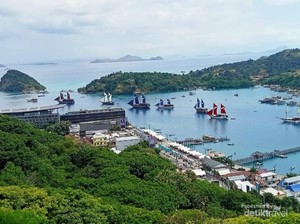 Genjot Dekarbonisasi, Kemenhub Berjuang Agar RI Jadi Anggota IMO Lagi