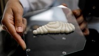 Seorang pekerja mengangkat sepotong ikan kerapu hasil cetak 3D yang baru dibudidayakan. Daging Umami pertama-tama mengekstraksi sel – untuk saat ini dari ikan kerapu – dan menumbuhkannya menjadi otot dan lemak. Steakholder Foods kemudian menambahkannya ke bio-ink yang cocok untuk printer 3D khusus.  