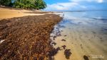 Bicara Keindahan Sunset, Pantai Yenbekaki Raja Ampat Tiada Duanya