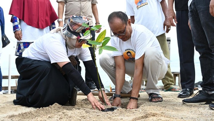 Penanaman Mangrove