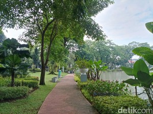 Asri Banget! Taman Situ Lembang Punya Koleksi Tumbuhan Beragam