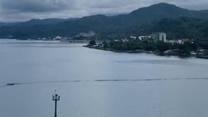 Penampakan Tumpukan Sampah di Laut Ambon yang Heboh Dikira Fenomena Alam