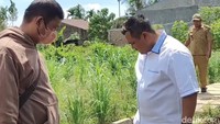 Topan Ginting saat mengecek hasil pengerjaan aspal di Jalan Bunga Rampai III, Simalingkar B, Kota Medan. Topan mendapati kualitas yang tidak baik karena aspal bisa terkelupas hanya dengan diinjak. (Nizar Aldi/detikSumut)