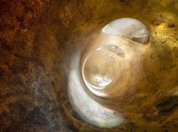 Foto Bagian Dalam Alat Musik Bikin Tercengang, Bak Bangunan Megah