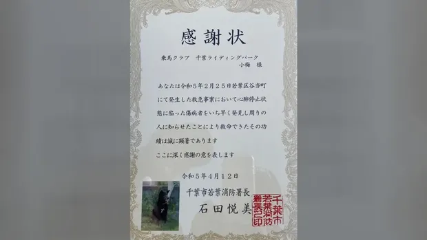 Koume, anjing pahlawan dari Jepang