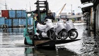 AISI mengaku optimistis mengingat penjualan pada tahun sebelumnya mencatatkan angka yang memuaskan, sesuai dengan proyeksi awal.