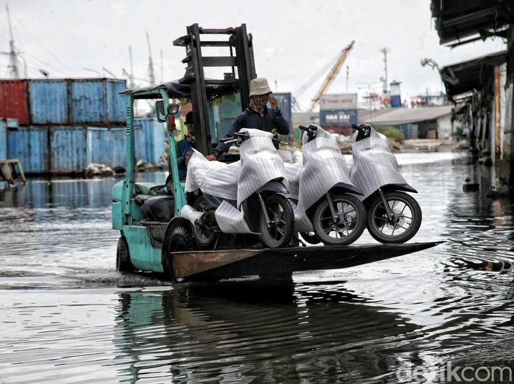 Melihat Bongkar Muat Motor Saat Banjir Rob di Pelabuhan Sunda Kelapa