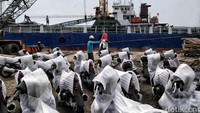 Pekerja melakukan bongkar muat motor ke atas kapal di kawasan Pelabuhan Sunda Kelapa, Jakarta Utara, Kamis (11/5/2023).