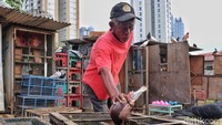 Tidak ada tanda khusus dari setiap burung namun pemilik mengetahui burung merpatinya dari corak, warna dan bentuk wajah burung yang bagi pecinta burung, mempunyai perbedaan. 