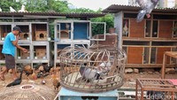 Lahan kosong tersebut sudah menganggur puluhan tahun.