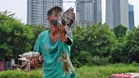 Kemudian, lahan kosong tersebut dimanfaatkan warga melatih burung merpati balap. 