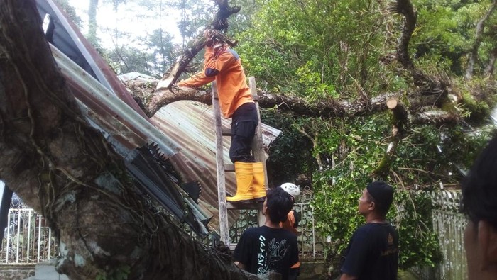 ohon tumbang menimpa atap bangunan makam sesepuh Sumedang yang juga mantan Bupati Sukabumi Raden Adipati Aria (RA.A) Soeria Danoeningrat.