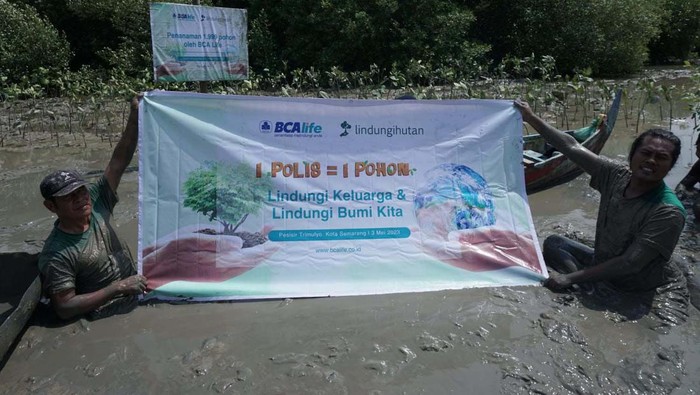 BCA Life bekerja sama dengan Yayasan Lindungi Hutan memperingati Hari Bumi. Mereka menanam 1.999 pohon di Pantai Mangunharjo, Semarang, Jateng.