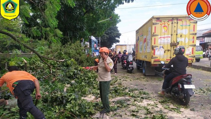 Pohon Tumbang Timpa Mobil di Bogor, Sopir dan Kernet Terluka