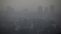Debu yang menutup kota itu membuat jarak pandang menjadi terbatas.  
