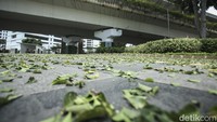 Dinas Bina Marga DKI menyebut tugu itu sempat diterpa angin kencang, hingga rusak.  