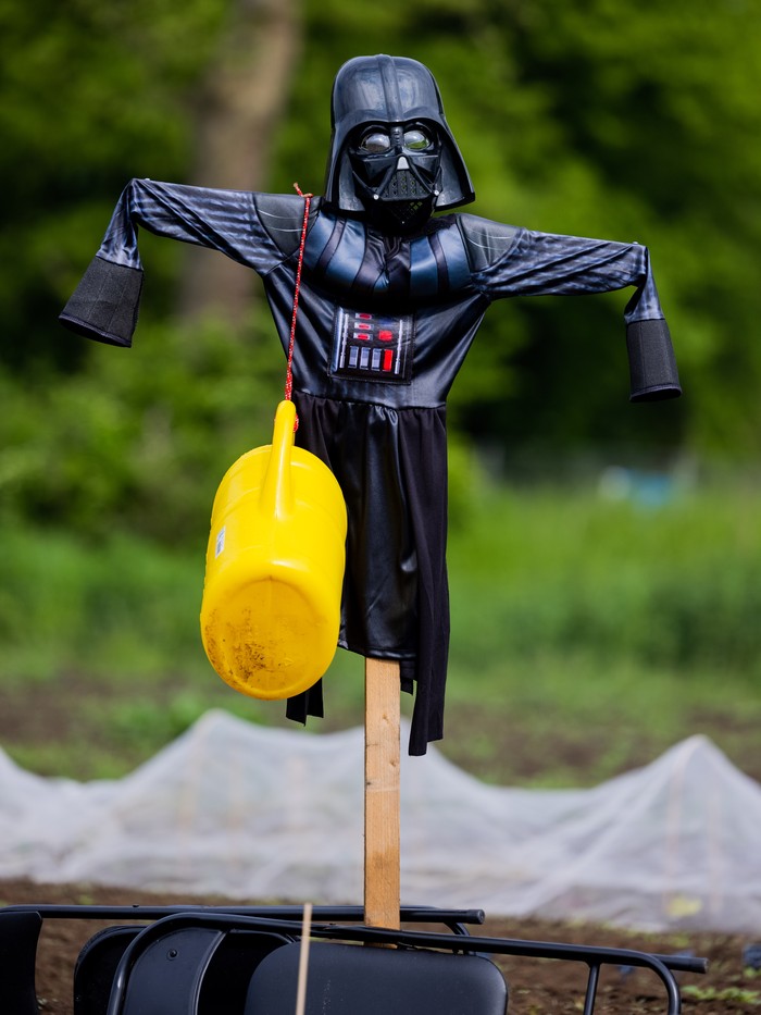 Potret Orang-orangan Sawah di AS, Seperti Pesta Cosplay 08 May 2023, North Rhine-Westphalia, Cologne: Scarecrows in various costumes guard a fruit and vegetable garden on an Urban Gardening field whose plots are leased by the Pohl Vegetable Farm on the outskirts of the city. Photo: Rolf Vennenbernd/dpa (Photo by Rolf Vennenbernd/picture alliance via Getty Images)