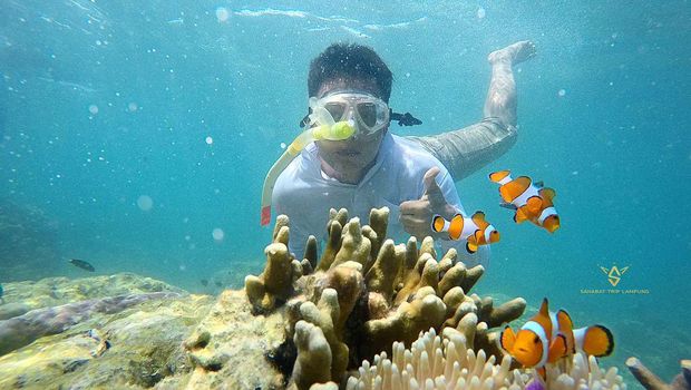Pulau Pahawang Lampung