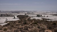 Penampakan lahan pertanian di Almeria, Spanyol, yang dilanda kekeringan sejak akhir bulan April 2023 lalu.