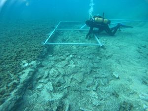 Ada Jalan Berusia Ribuan Tahun di Dasar Laut, Bagaimana Kondisinya?