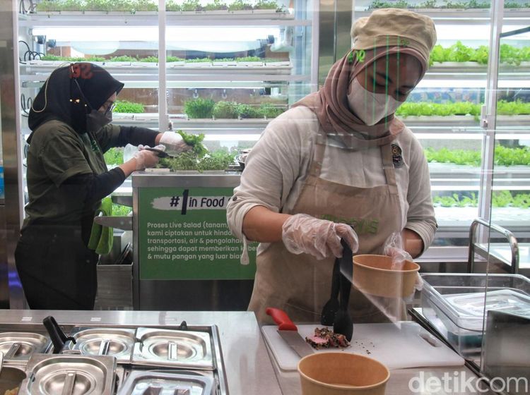 Di Restoran Salad Ini, Pengunjung Bisa Petik Sayuran Langsung Lho
