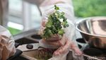 Di Restoran Salad Ini, Pengunjung Bisa Petik Sayuran Langsung Lho