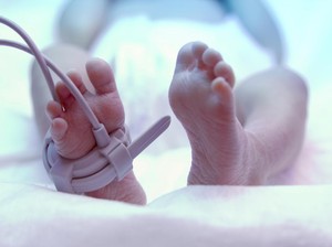 RS Hasan Sadikin Bandung Angkat Bicara soal Viral Bayi Hampir Tertukar di NICU