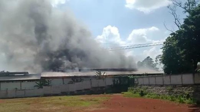 Kebakaran gudang di Bogor (dok. Istimewa)