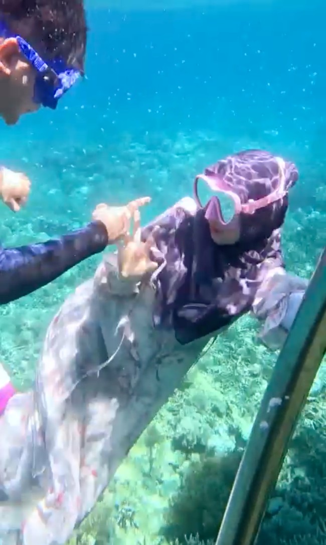 Tak hanya mengenakan kostum duyung, penampilan Ricis kala menyelam mengenakan gamis juga berhasil mencuri atensi netizen. Mengenakan gamis lengkap dengan hijab, Ricis tampak menyelam bersama sang suami, Teuku Ryan. Foto: Instagram/@riaricis1795