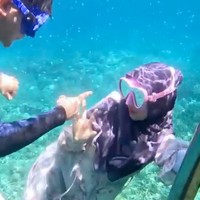 Tak hanya mengenakan kostum duyung, penampilan Ricis kala menyelam mengenakan gamis juga berhasil mencuri atensi netizen. Mengenakan gamis lengkap dengan hijab, Ricis tampak menyelam bersama sang suami, Teuku Ryan. Foto: Instagram/@riaricis1795