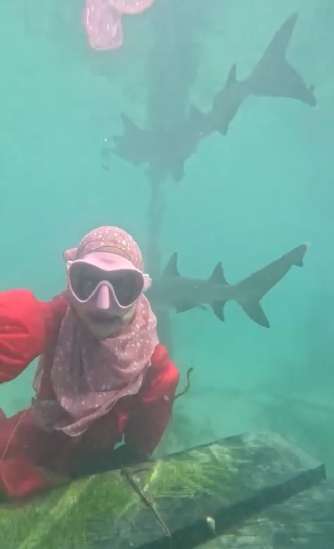 Ricis juga tampak tak mau melewatkan kesempatannya untuk berenang bersama ikan hiu. Dengan berani Ricis bahkan memvideokan dirinya sendiri saat berenang bersama beberapa hiu yang sudah dilatih di sana. Foto: Instagram/@riaricis1795