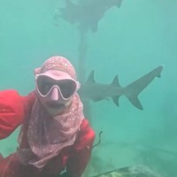 Ricis juga tampak tak mau melewatkan kesempatannya untuk berenang bersama ikan hiu. Dengan berani Ricis bahkan memvideokan dirinya sendiri saat berenang bersama beberapa hiu yang sudah dilatih di sana. Foto: Instagram/@riaricis1795