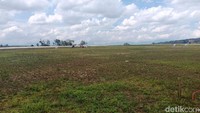 Kondisi lapangan terlihat banyak hanya tanah dan tidak ditananami rumput. (Ahmad Arfah/detikSumut)