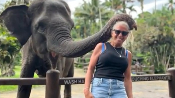 Turis AS digigit gajah di Bali