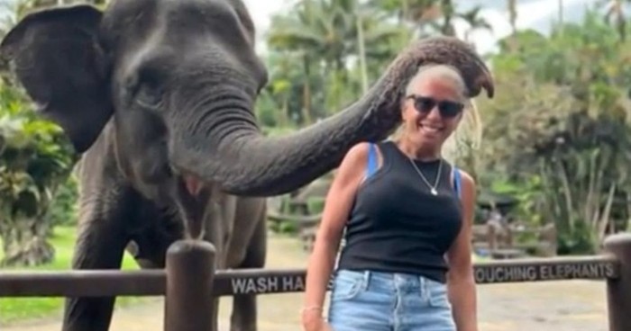 Turis dikunyah gajah di Ubud Bali