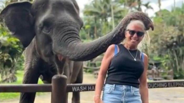 Turis dikunyah gajah di Ubud Bali