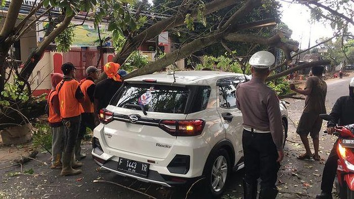Diterjang Angin Kencang, Pohon Tumbang Timpa Iring-iringan Parpol di Cianjur