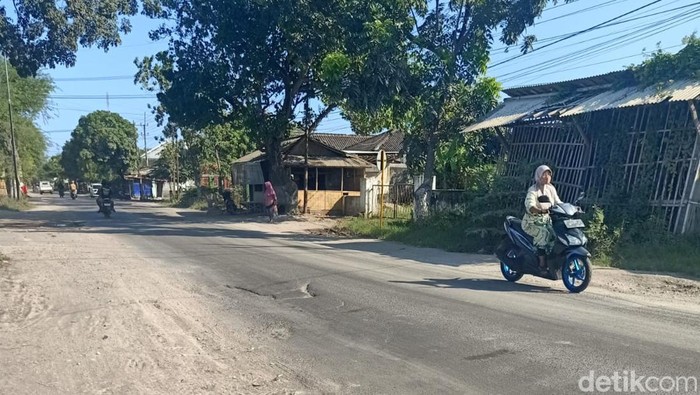 Jalan Rusak di Puger, Jember yang disebut tidak cukup hanya diperbaiki.