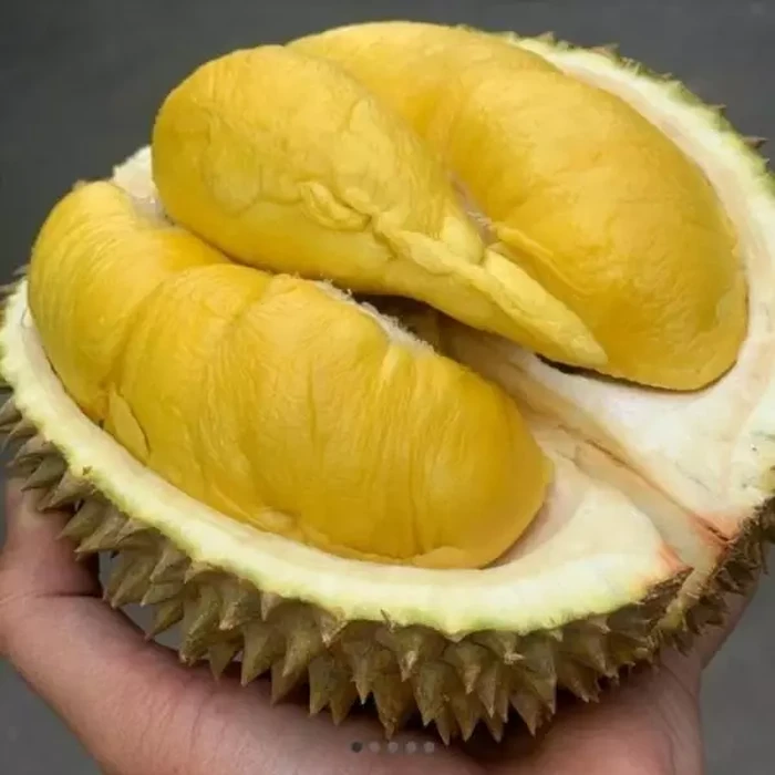 Niat Beli Durian Online, Wanita Ini Malah Kena Tipu Rp 596 Juta!