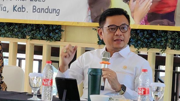Tubagus Ace Hasan Syadzily