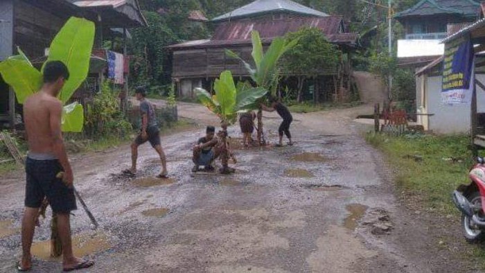 Warga di Polewali Mandar, Sulbar tanam pohon pisang di jalan rusak.
