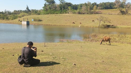Embung Oelomin di Dusun 03, Desa Oelomin, Kecamatan Nekamese, Kabupaten Kupang, NTT jadi objek wisata yang unik. (Yufen Bria/detikBali)