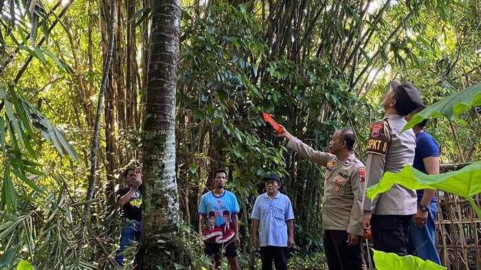 Polisi olah TKP tewasnya seorang penderes nira yang terjatuh di Desa Candinata, Kecamatan Kutasari, Kabupaten PurbaIingga, Minggu (14/5/2023).