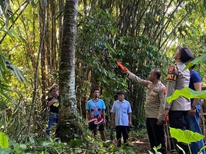 Penderes Nira Candinata Purbalingga Tewas Jatuh dari Pohon Kelapa