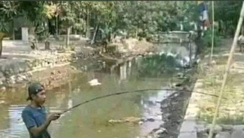 Definisi sesungguhnya dari tidak terpancing. Ya iya lah, ngadepnya aja salah! Foto: Twitter/kindashiny